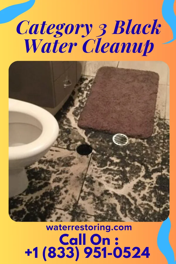Category 3 Black Water Cleanup in Hop Bottom, PA