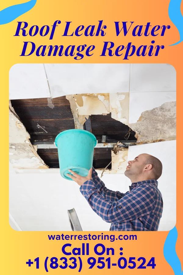Roof Leak Water Damage Repair in Hop Bottom, PA