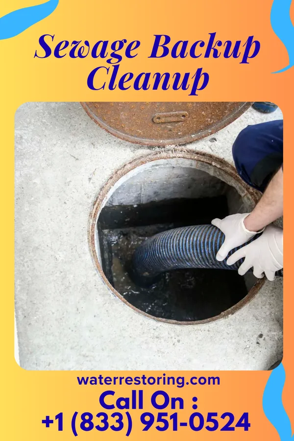 Sewage Backup Cleanup in Hop Bottom, PA