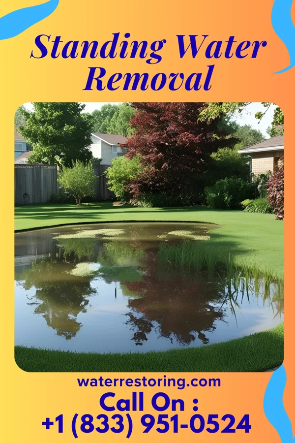 Standing Water Removal in Hop Bottom, PA